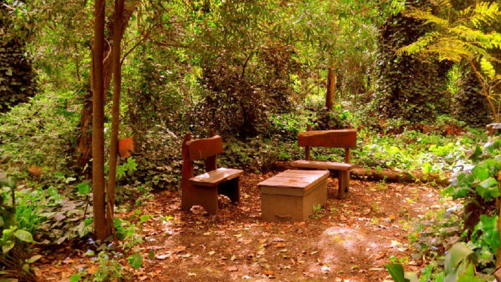 Casa de piedra , Bosque Peralta Ramos, Mar del plata