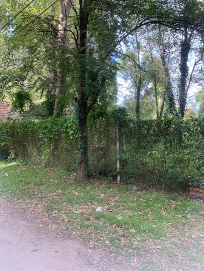 LOTE -BOSQUE PERALTA RAMOS