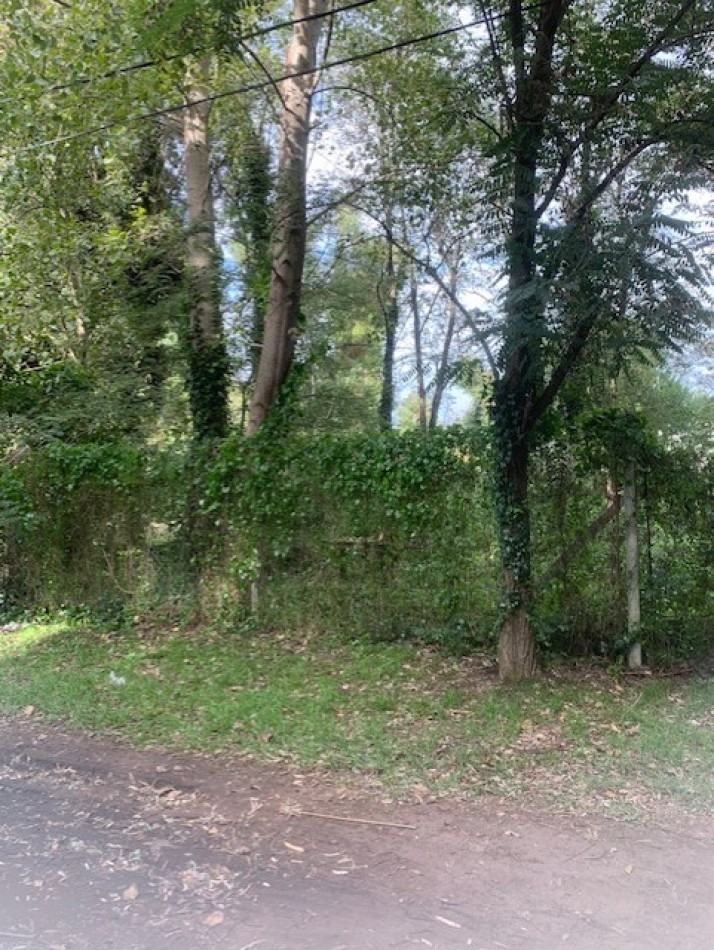 LOTE -BOSQUE PERALTA RAMOS