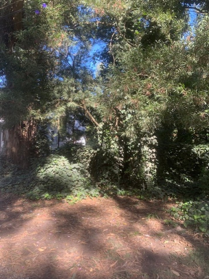 LOTE -BOSQUE PERALTA RAMOS