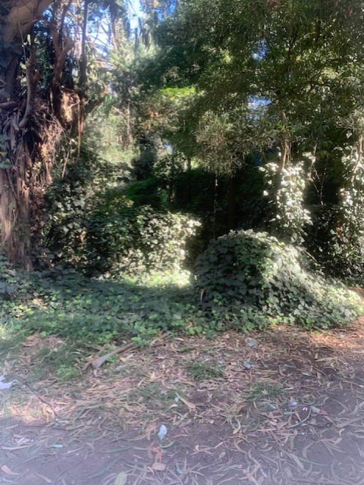 LOTE -BOSQUE PERALTA RAMOS