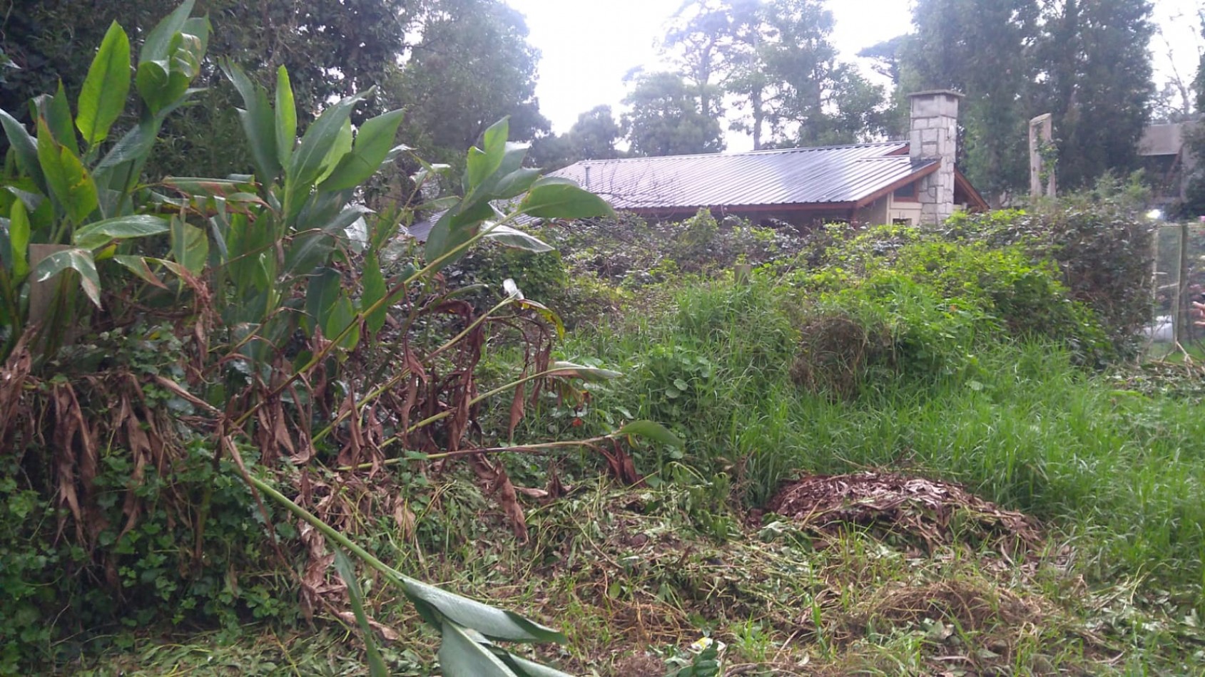 LOTE-BOSQUE PERALTA RAMOS