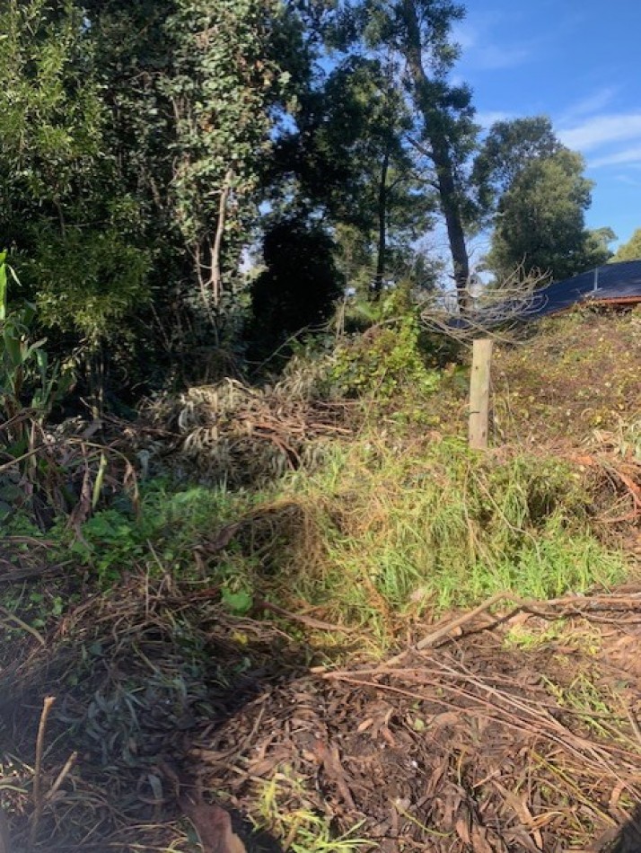 LOTE-BOSQUE PERALTA RAMOS