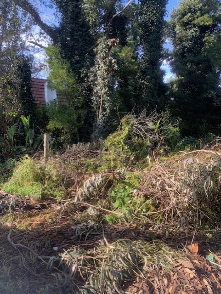 LOTE-BOSQUE PERALTA RAMOS