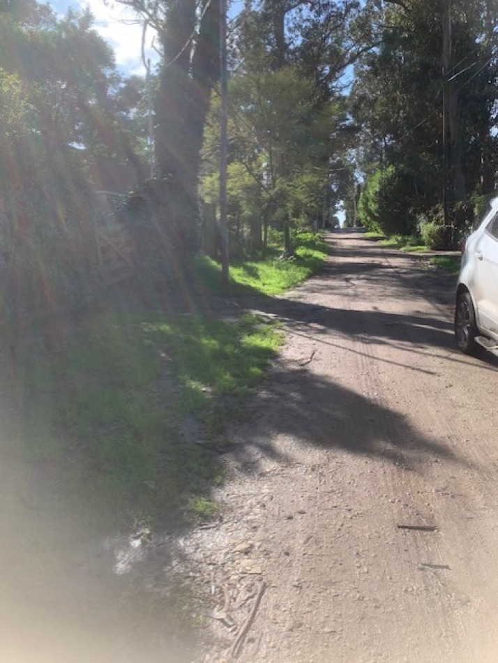 LOTE-BOSQUE PERALTA RAMOS