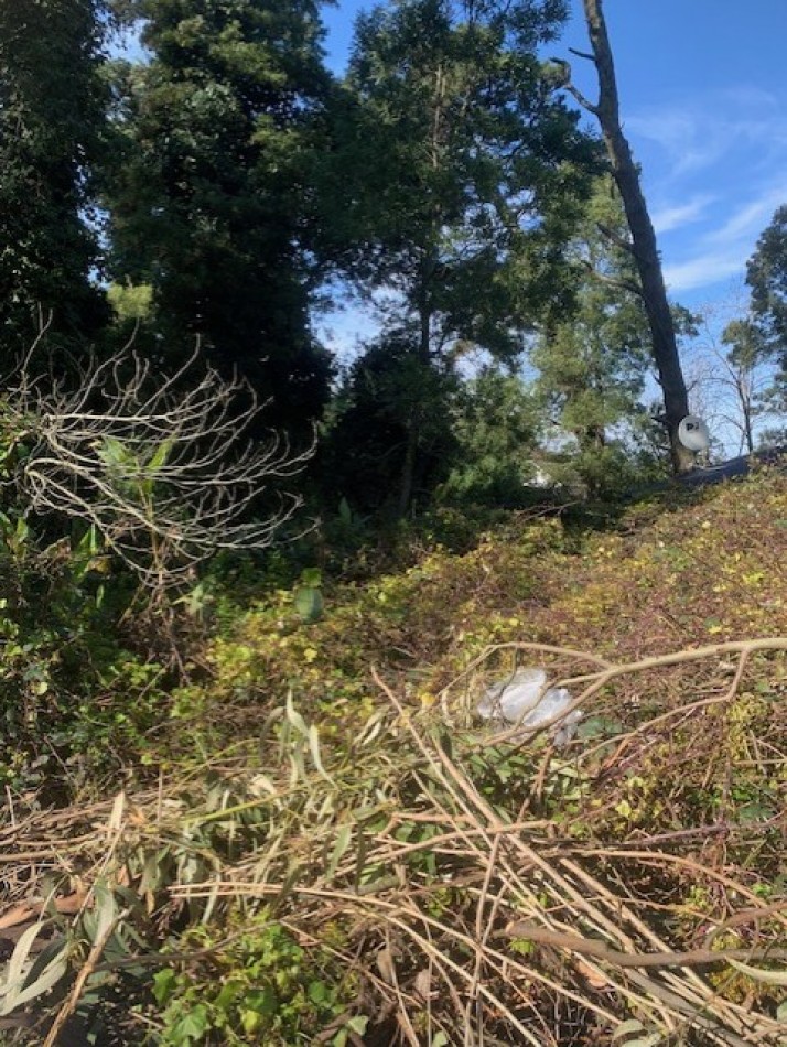 LOTE-BOSQUE PERALTA RAMOS