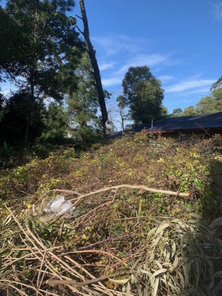 LOTE-BOSQUE PERALTA RAMOS
