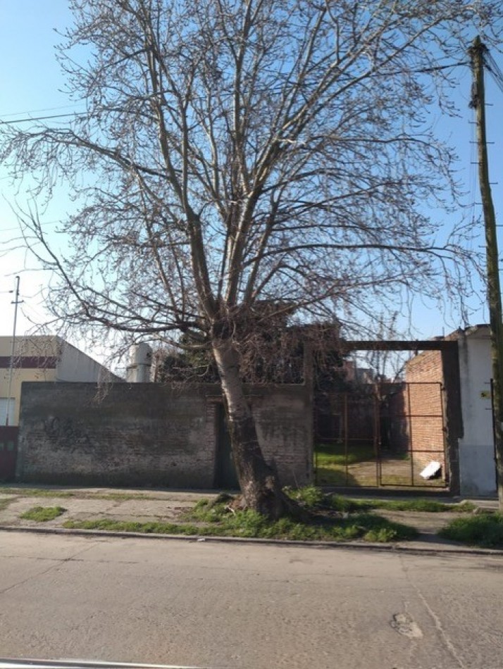 LOTE CON TODOS LOS SERVICIOS Y SOBRE ASFALTO -BARRIO 9 DE JULIO