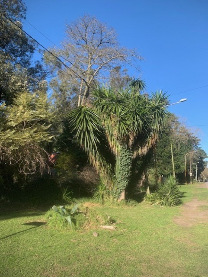 IMPORTANTE Y UNICA UBICACION SOBRE CALLE DON ARTURO-FINANCIACION -BOSQUE PERALTA BRAMOS