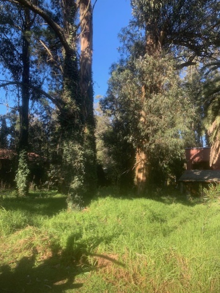 IMPORTANTE Y UNICA UBICACION SOBRE CALLE DON ARTURO-FINANCIACION -BOSQUE PERALTA BRAMOS