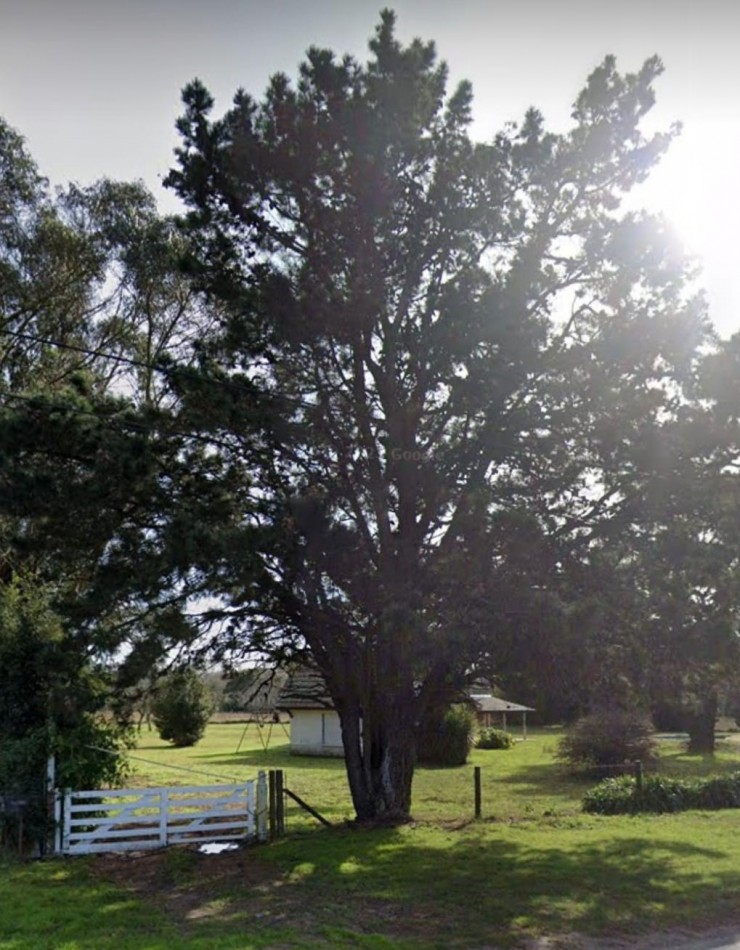 CASA QUINTA C/QUINCHO , PILETA ,CASA DE CASEROS Y GALPON -SIERRA DE LOS PADRES
