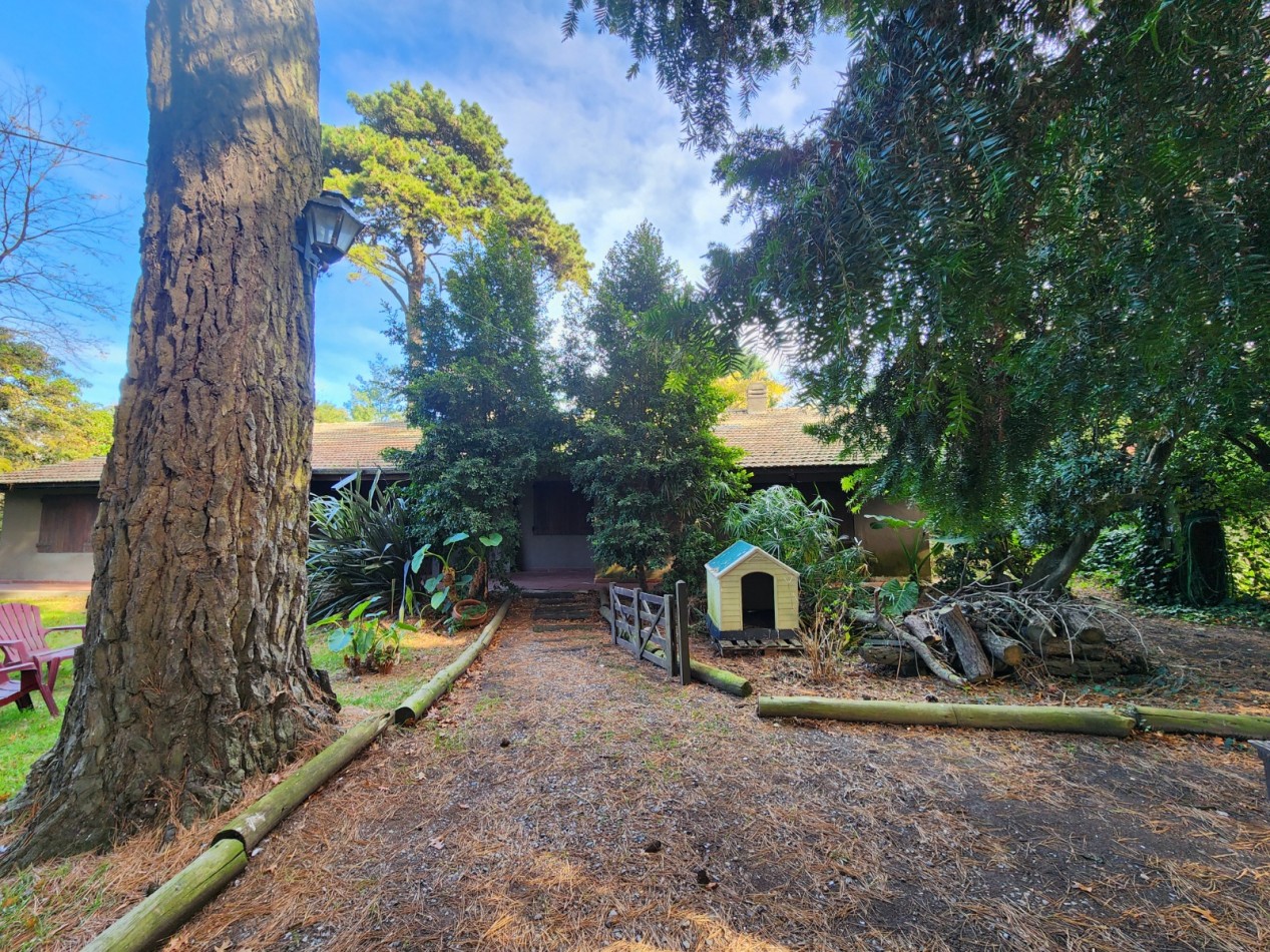 CHALET SOBRE 3 LOTES RECICLADO -BOSQUE PERALTA RAMOS