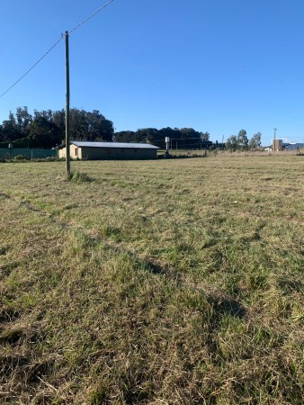 LOTE DE 800 M2 A 4 CUADRAS DEL MAR - SAN EDUARDO DEL MAR