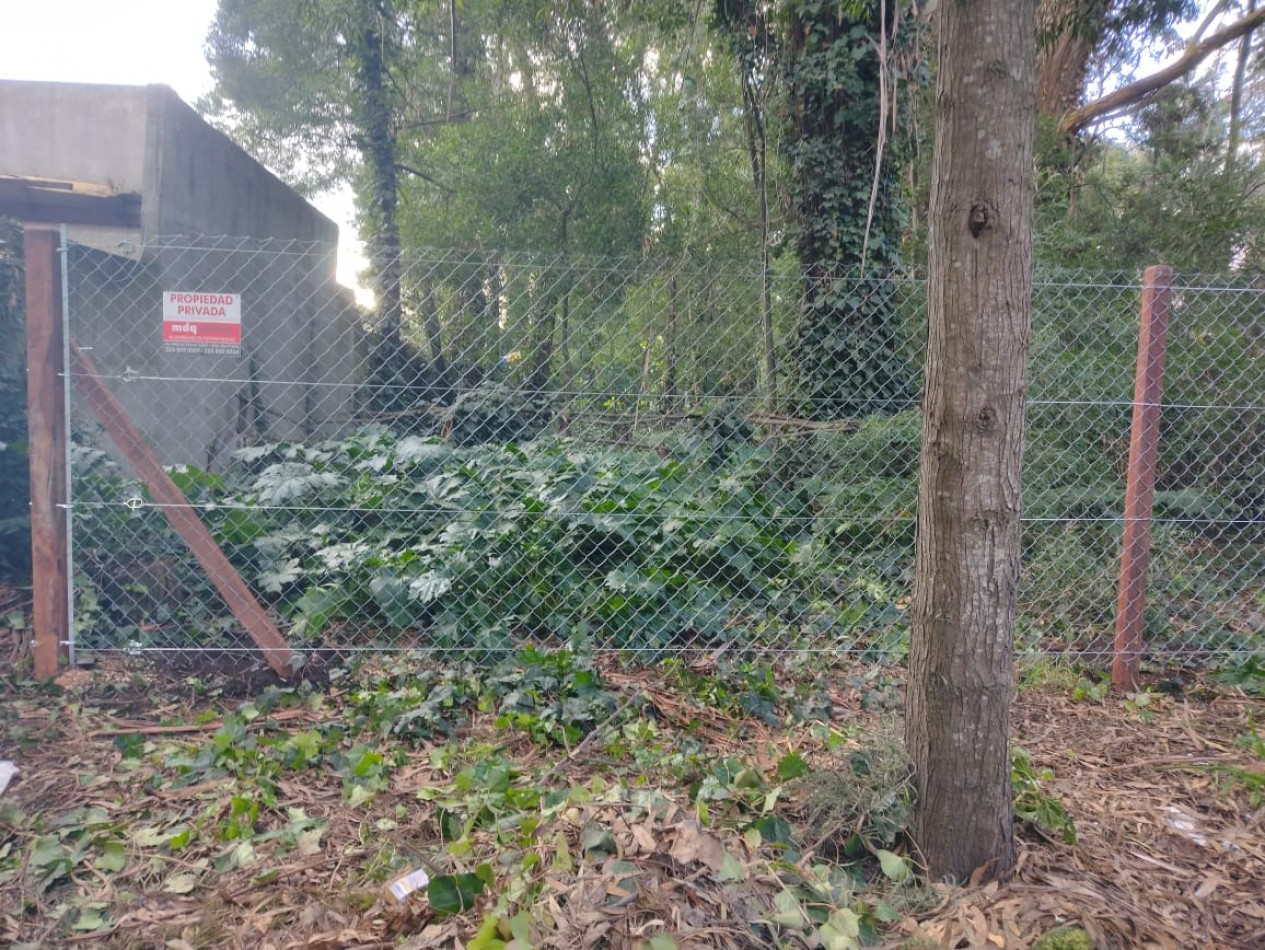 IMPORTANTE LOTE CERCADO y ARBOLADO DE 450M2-  Manzana 202 Lote 12 -BOSQUE PERALTA RAMOS 