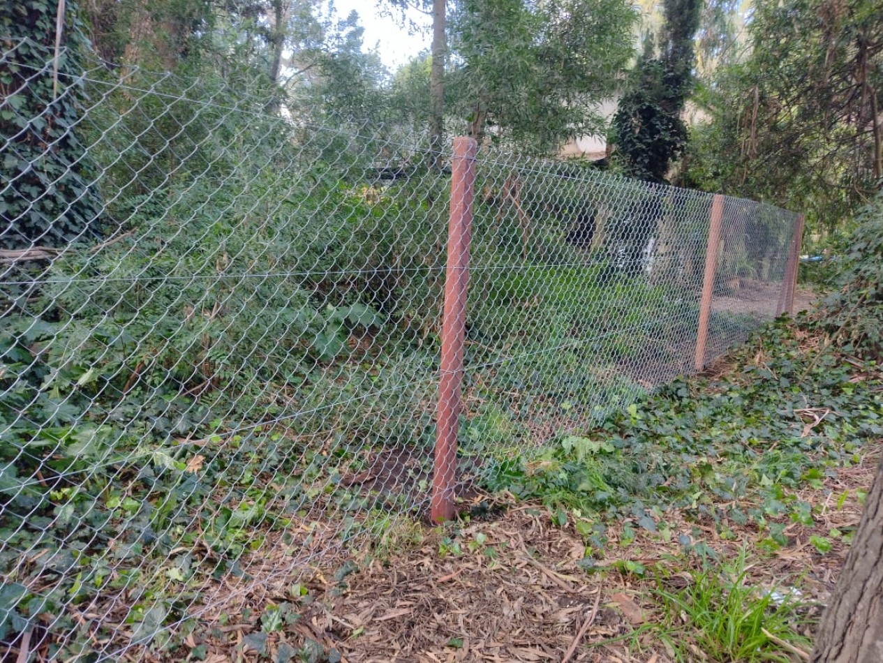 IMPORTANTE LOTE CERCADO y ARBOLADO DE 450M2-  Manzana 202 Lote 12 -BOSQUE PERALTA RAMOS 