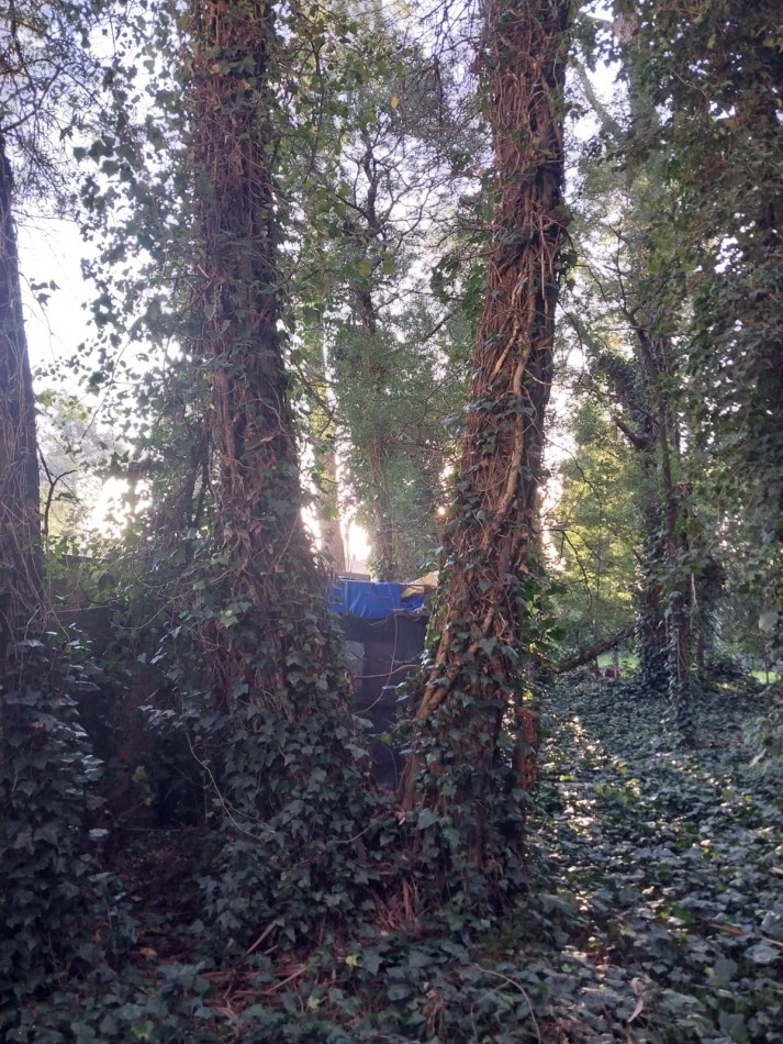 IMPORTANTE LOTE CERCADO y ARBOLADO DE 450M2-  Manzana 202 Lote 12 -BOSQUE PERALTA RAMOS 