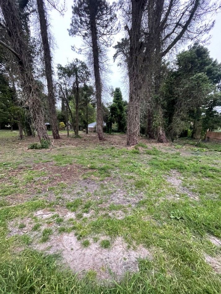  UNICOS  Y ULTIMOS  2 LOTES SOBRE CALLE DIAGONAL NORTE  asfaltada- BOSQUE PERALTA RAMOS 