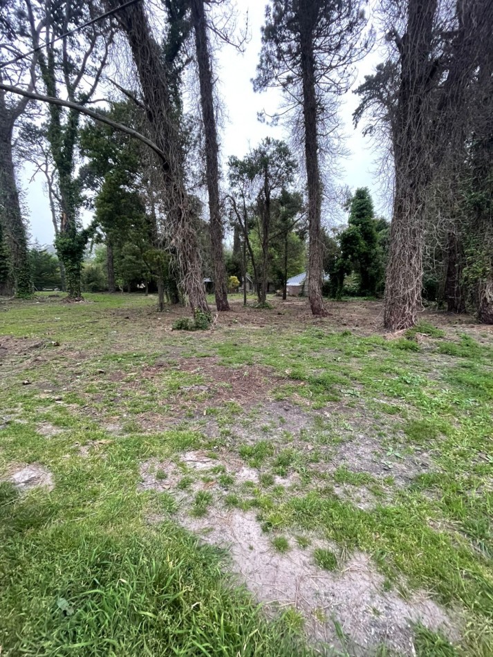  UNICOS  Y ULTIMOS  2 LOTES SOBRE CALLE DIAGONAL NORTE  asfaltada- BOSQUE PERALTA RAMOS 