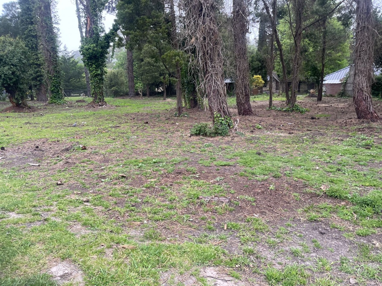  UNICOS  Y ULTIMOS  2 LOTES SOBRE CALLE DIAGONAL NORTE  asfaltada- BOSQUE PERALTA RAMOS 