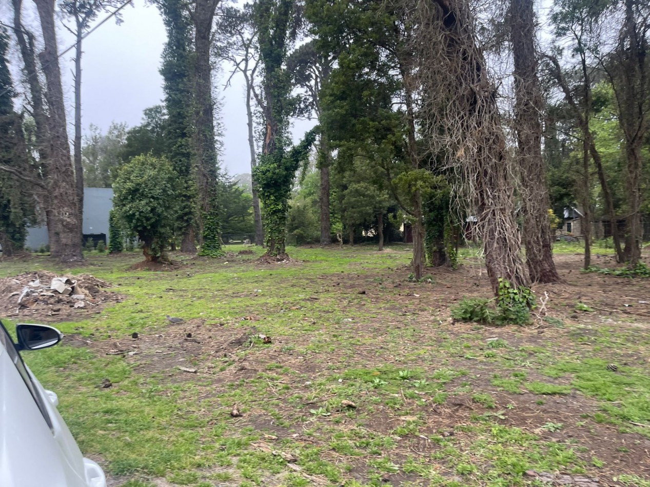  UNICOS  Y ULTIMOS  2 LOTES SOBRE CALLE DIAGONAL NORTE  asfaltada- BOSQUE PERALTA RAMOS 