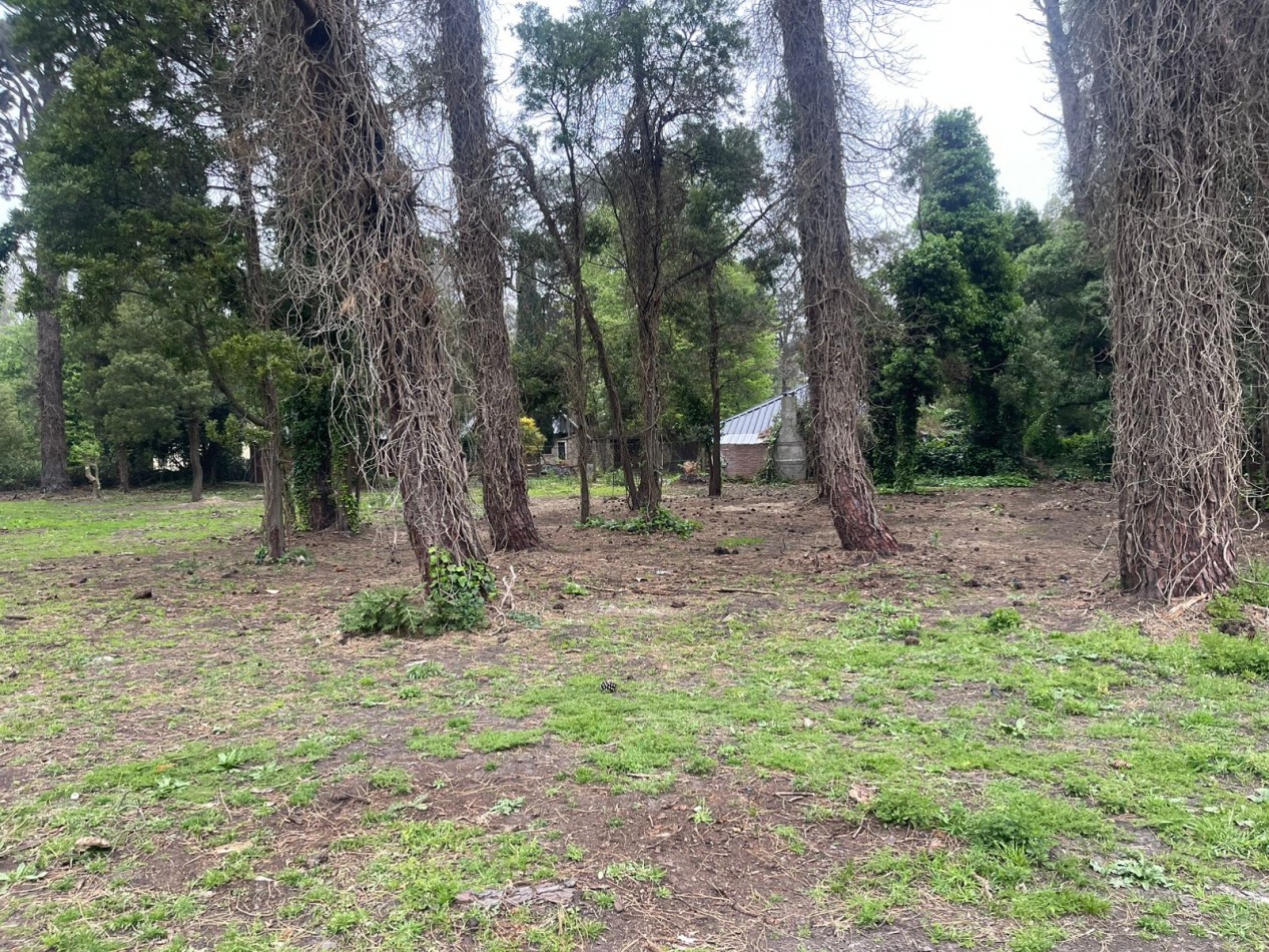  UNICOS  Y ULTIMOS  2 LOTES SOBRE CALLE DIAGONAL NORTE  asfaltada- BOSQUE PERALTA RAMOS 