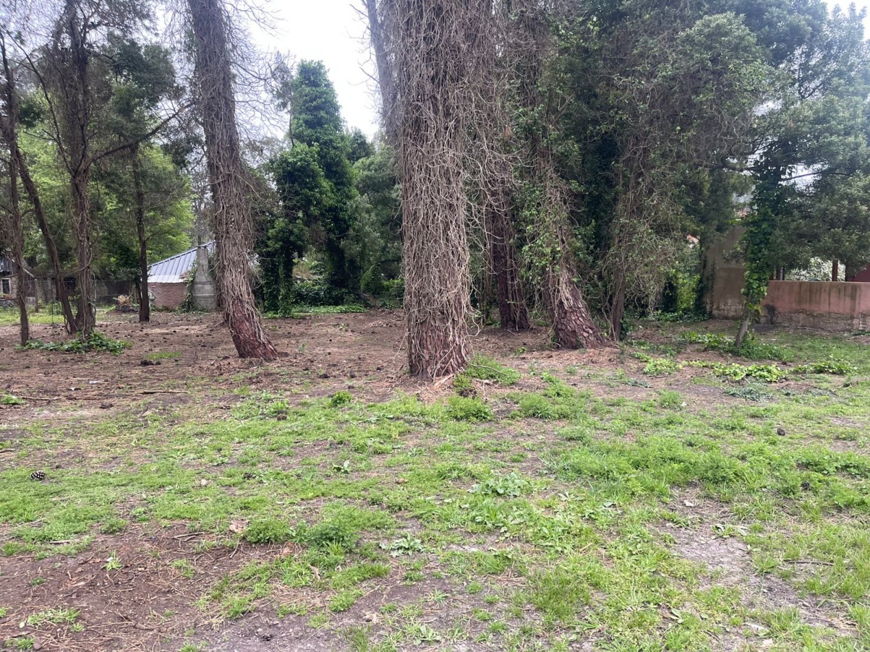  UNICOS  Y ULTIMOS  2 LOTES SOBRE CALLE DIAGONAL NORTE  asfaltada- BOSQUE PERALTA RAMOS 