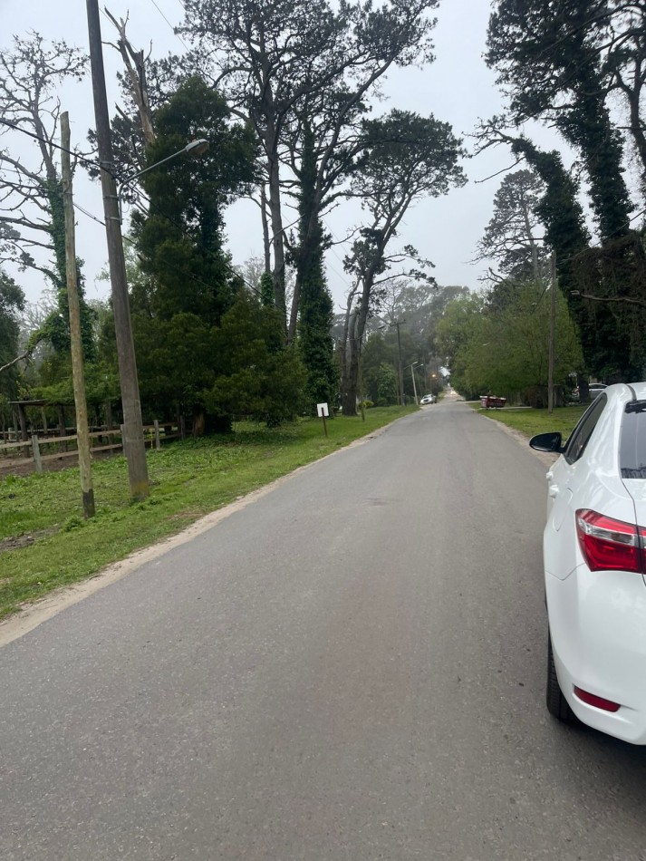  UNICOS  Y ULTIMOS  2 LOTES SOBRE CALLE DIAGONAL NORTE  asfaltada- BOSQUE PERALTA RAMOS 