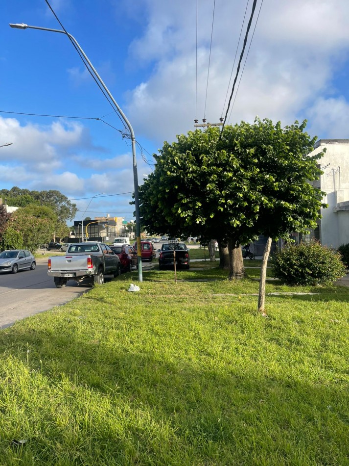 IMPORTANTE LOTE SOBRE AV. FORTUNATO DE LA PLAZA -IDEAL GALPON O LOCAL