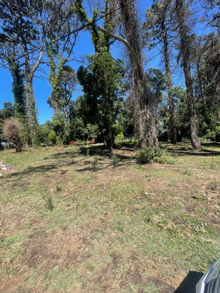 4 LOTES UNICOS  S/  ASFASLTO - DIAGONAL NORTE Y TUPAC AMARU   -BOSQUE PERALTA RAMOS -