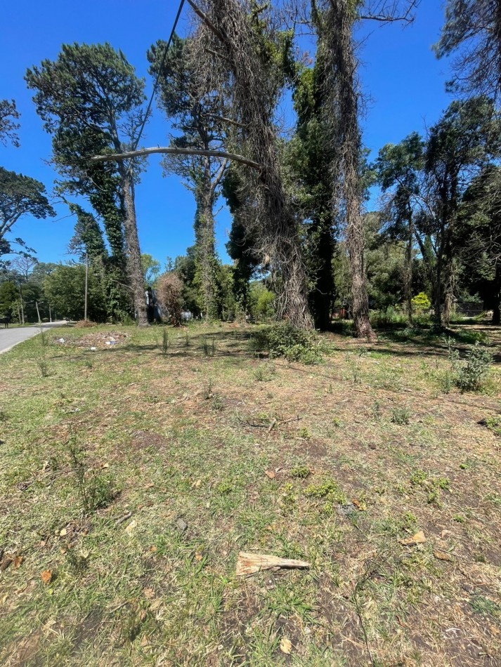 4 LOTES UNICOS  S/  ASFASLTO - DIAGONAL NORTE Y TUPAC AMARU   -BOSQUE PERALTA RAMOS -