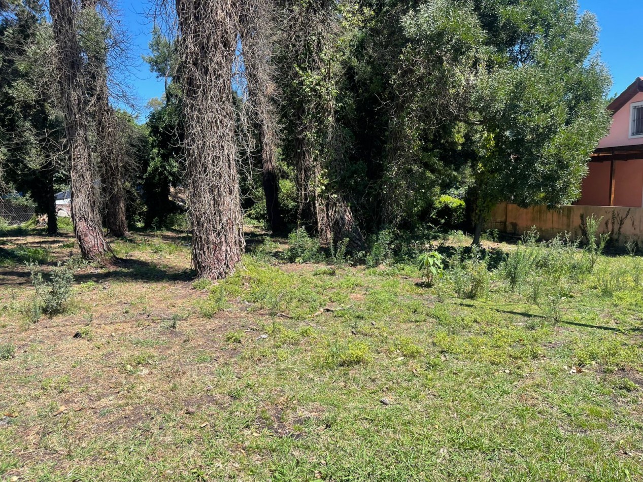 4 LOTES UNICOS  S/  ASFASLTO - DIAGONAL NORTE Y TUPAC AMARU   -BOSQUE PERALTA RAMOS -