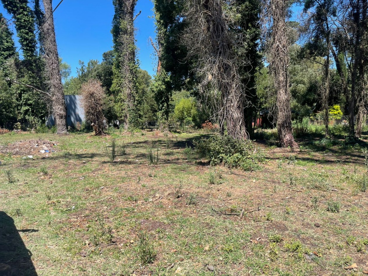 LOTE DOBLE  SUP. 961 M2 . ( puede venderse en forma individual un lote )  SOBRE DIAGONAL NORTE calle asfaltada MZA 214 LOTES 6 Y 7  -BOSQUE PERALTA RAMOS 