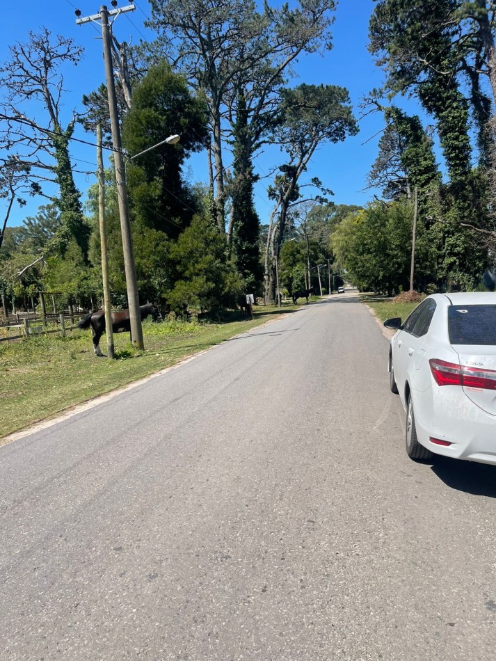 LOTE DOBLE  SUP. 961 M2 . ( puede venderse en forma individual un lote )  SOBRE DIAGONAL NORTE calle asfaltada MZA 214 LOTES 6 Y 7  -BOSQUE PERALTA RAMOS 