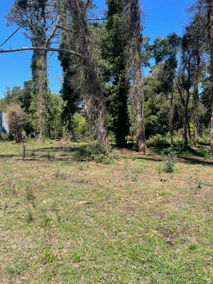 LOTE DOBLE  SUP. 961 M2 . ( puede venderse en forma individual un lote )  SOBRE DIAGONAL NORTE calle asfaltada MZA 214 LOTES 6 Y 7  -BOSQUE PERALTA RAMOS 