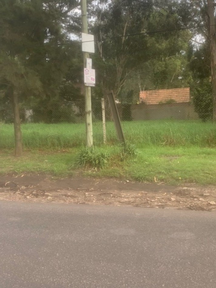 UNICO LOTE SOBRE CALLE DON ARTURO C/SERVICIOS Y ASFALTO A METROS DE Av. Mario Bravo -BOSQUE PERALTA RAMOS