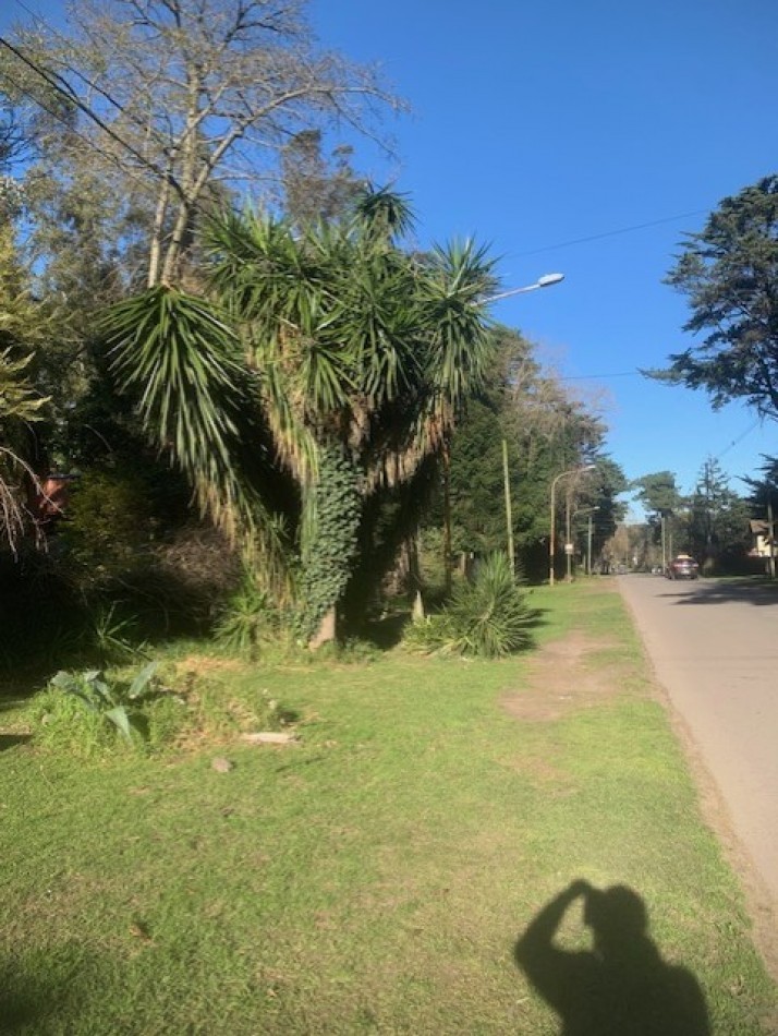 IMPORTANTES Y UNICOS 2 LOTES SOBRE CALLE DON ARTURO-FINANCIACION -AMPLIAS FACILIDADES