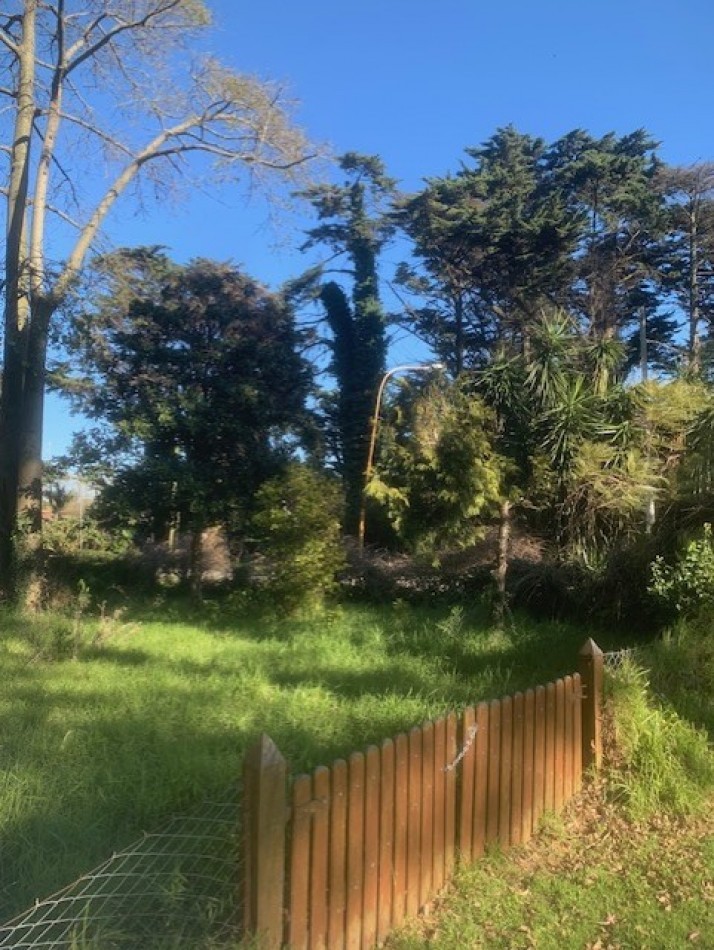 IMPORTANTES Y UNICOS 2 LOTES SOBRE CALLE DON ARTURO-FINANCIACION -AMPLIAS FACILIDADES