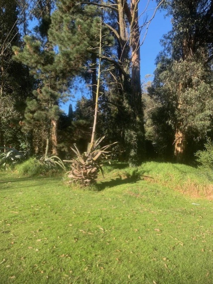 IMPORTANTES Y UNICOS 2 LOTES SOBRE CALLE DON ARTURO-FINANCIACION -AMPLIAS FACILIDADES