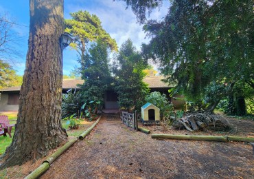 CHALET SOBRE 3 LOTES RECICLADO -BOSQUE PERALTA RAMOS 