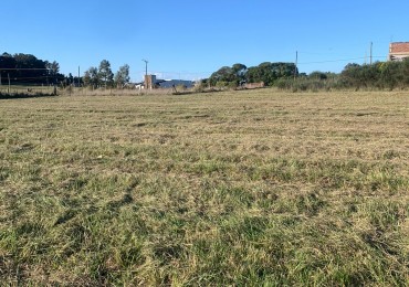  LOTE DE  1600 M2 A 4 CUADRAS DEL MAR  - SAN EDUARDO DEL MAR 