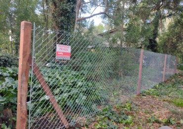 IMPORTANTE LOTE CERCADO y ARBOLADO DE 450M2-  Manzana 202 Lote 12 -BOSQUE PERALTA RAMOS 