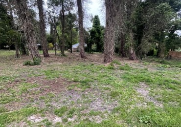  UNICOS  Y ULTIMOS  2 LOTES SOBRE CALLE DIAGONAL NORTE  asfaltada- BOSQUE PERALTA RAMOS 