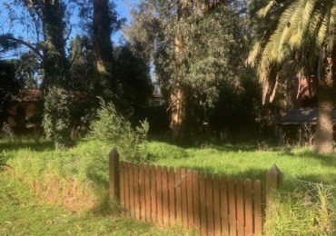 IMPORTANTES Y UNICOS 2 LOTES SOBRE CALLE DON ARTURO-FINANCIACION -AMPLIAS FACILIDADES